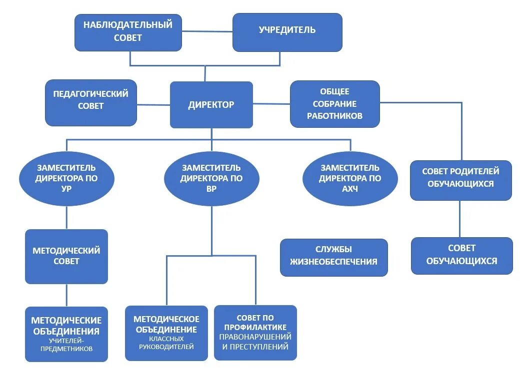 Структура и органы управления МОУ. Коллегиальный орган управления это. Структура наблюдательного совета. Отдел организации коллегиальных органов.