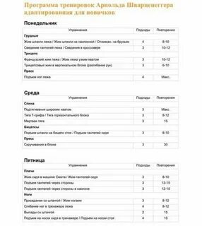 План для новичков в тренажерном зале