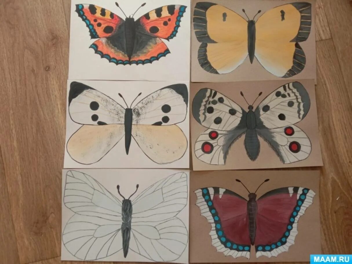 Рисование бабочка старшая группа. Рисование бабочка в средней группе. Рисование бабочка в подготовительной группе. Рисование насекомые средняя группа.