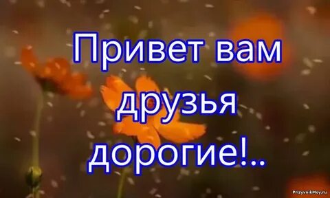 Привет дорогой все хорошо