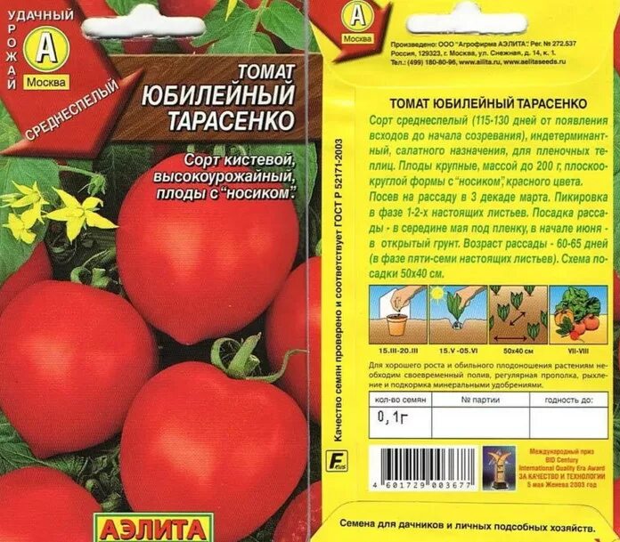 Какой сорт помидоров лучше сажать. Сорта томатов сибирь закрытый грунт. сибирские томаты для теплиц высокоурожайные сорта. сорта среднерослых томатов для теплиц. крупноплодные томаты для теплицы.