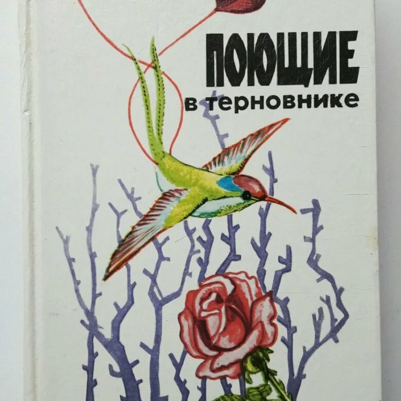 Поющие в терновнике птица. Поющие в терновнике книга. Иллюстрации из книги Поющие в терновнике. Птица из Поющие в терновнике.