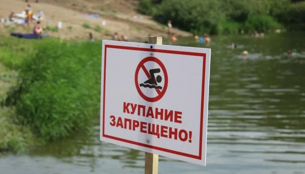 Почему нельзя плавать в водоеме где утки