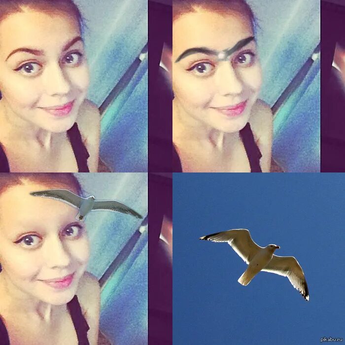 Брови орел. Брови орел. Красивый татуаж бровей. Брови орел. Брови как у орла.