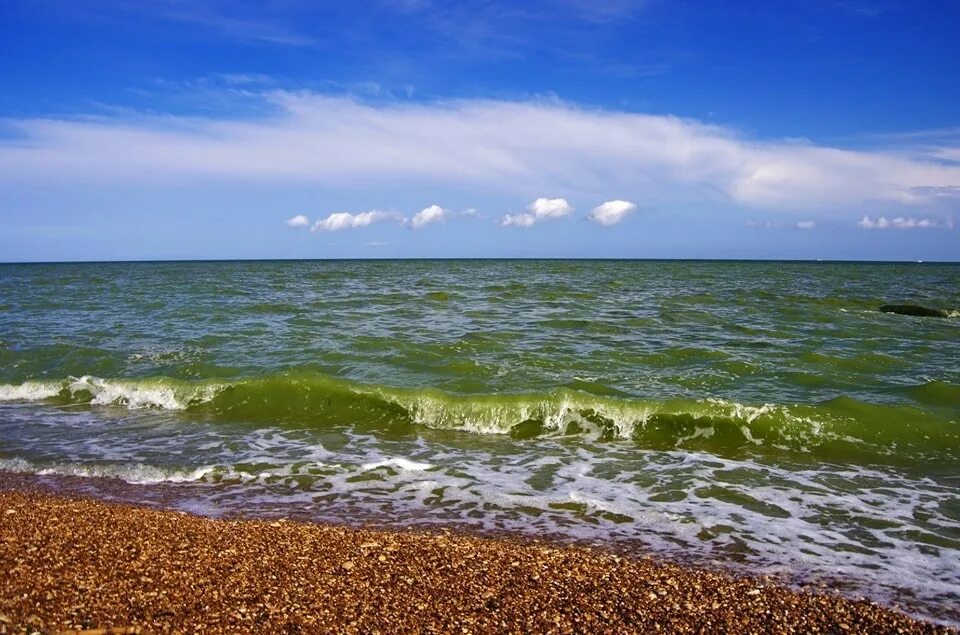 Одесское море. Одесса море. Одесса море сейчас. Зеленое море. Одесса море фото.