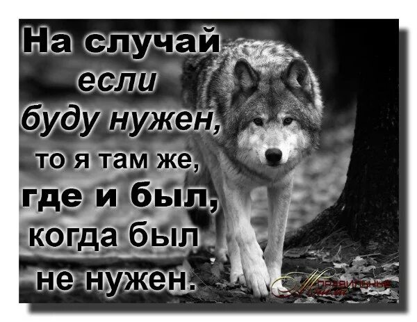 Ищите меня там где. На случай если буду нужен. На случай если я буду нужен. На случай если буду нужен то я. На случай если буду нужен я там где был.