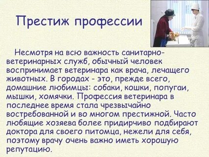 Сочинение на тему полезные профессии