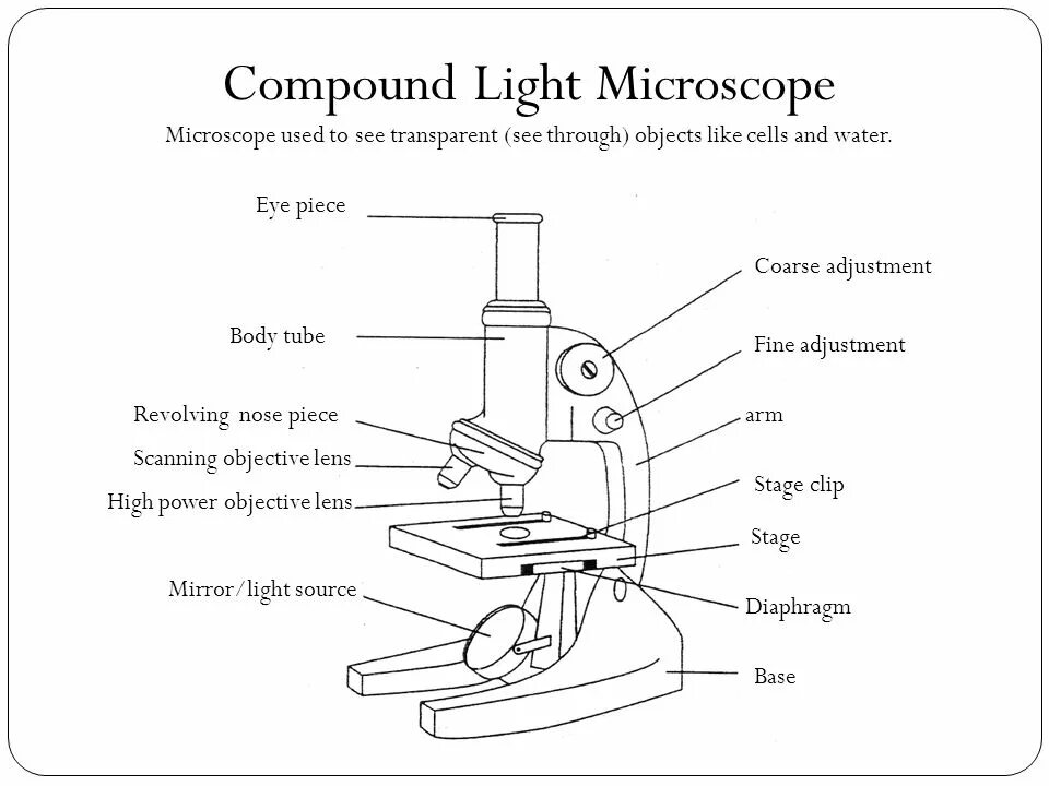 Строение микроскопа и функции его частей. Строение микроскопа 5 класс биология. Микроскоп рисунокхема устройства микроскопа. Основные части микроскопа 5 класс биология. Строение микроскопа схема 5 класс.