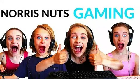 Norris Nuts Gaming Piggy