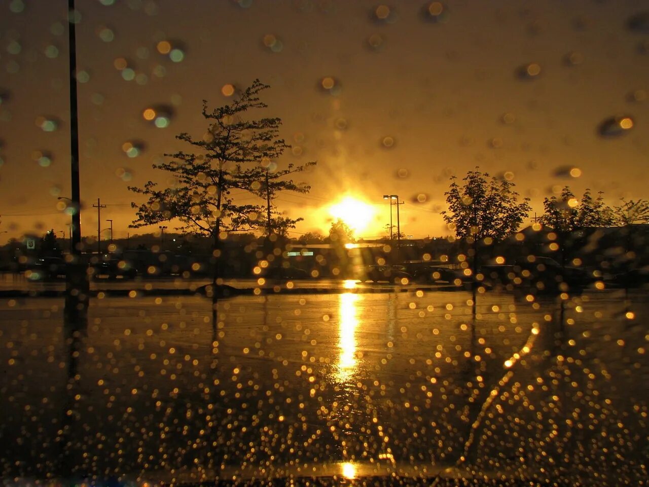 При попадании солнечного света на капли дождя. Солнце после дождя. Дождь и солнце. "Дождливый вечер". Дождливый летний вечер.