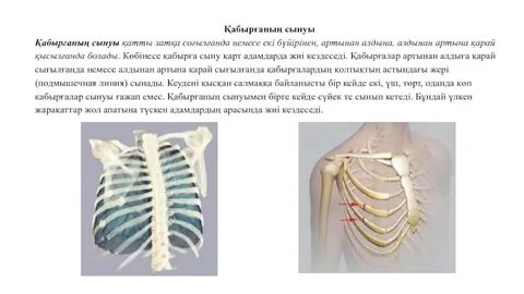 Порно және аналар