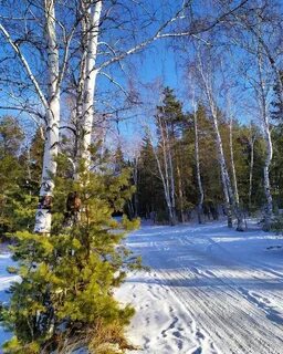 Фото день зимы