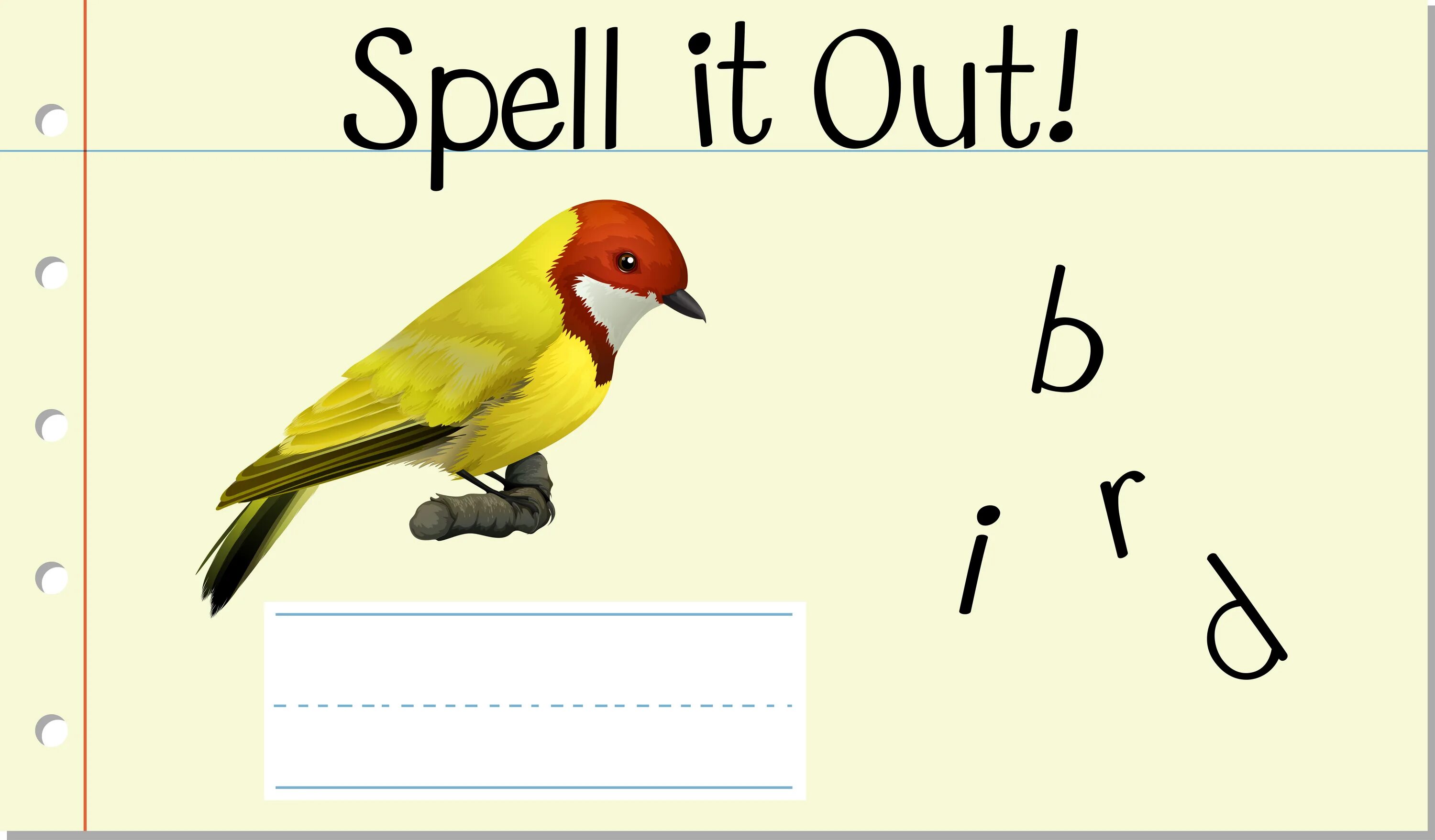 The bird is a word. Bird произношение. алфавит птиц. транскрипция слова bird на английском. английский алфавит птица.