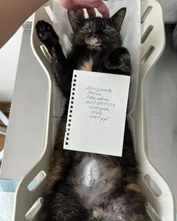 Стерилизация беременных