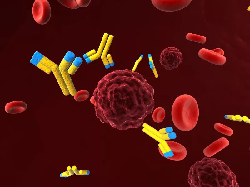 Антитела. Антитерф. Антитела в крови. Моноклональное антитело.