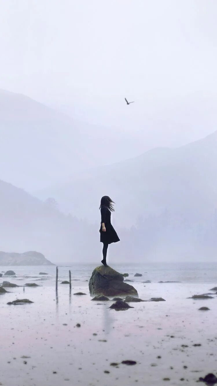 Quotes about loneliness. Море одиночество. Грустный пейзаж. Одинокая птица в небе. Одиночество души.