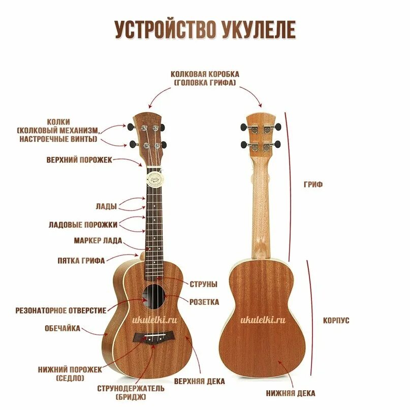 Урок гитары 3. Строение укулеле сопрано. Строение укулеле сопрано схема. Укулеле строение струн. Укулеле 4 струны.