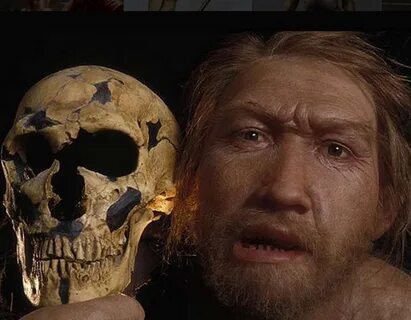 2 неандертальца