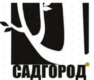 Отзывы компания владивосток
