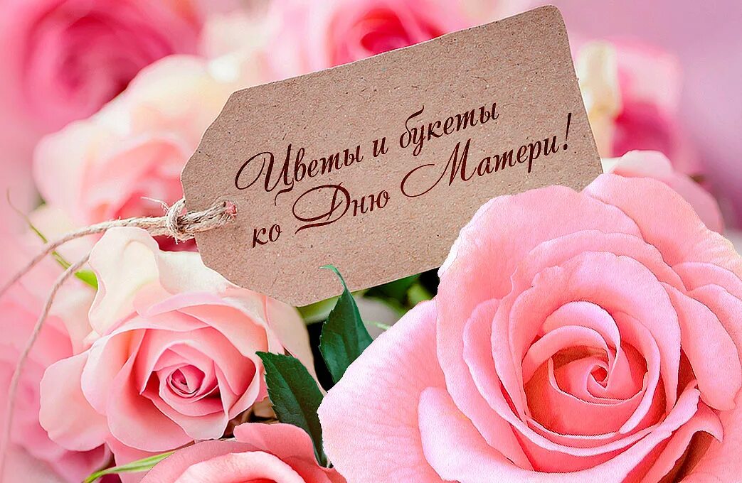 Красивое нежное поздравление с днем мамы. День матери. с днем матери цветы. с днем мамы цветы. нежные открытки с днем матери.
