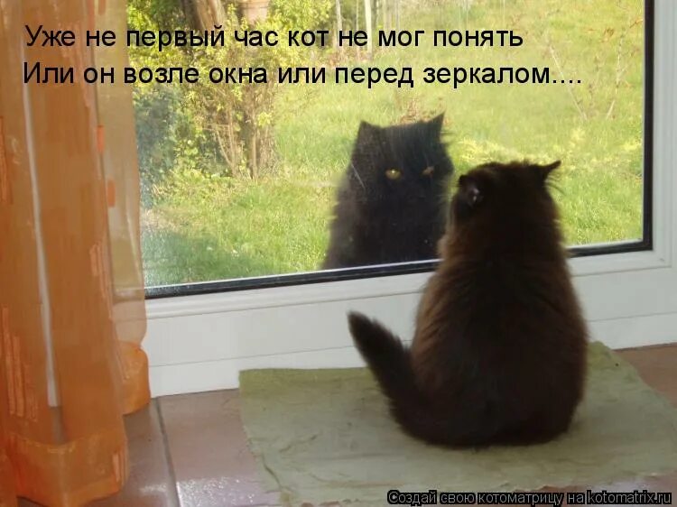 Видишь не так уж много. Кот пришел. Кот пришел домой. Котята уехали домой. Вот придёт кот.