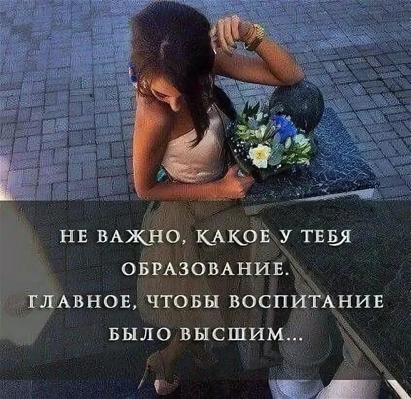 Кроме высшего образования надо иметь. Образование может быть и средним но воспитание должно. Статусы про воспитание. Девушка воспитана или воспитанна. Кто такой интеллигентный человек.