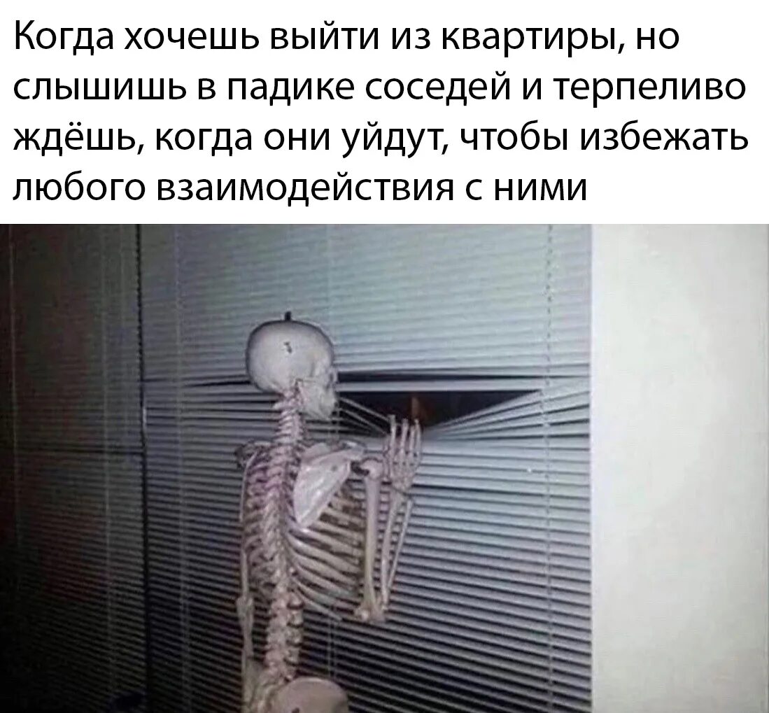 Устал ждать бывшую