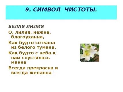 Язык цветов белый