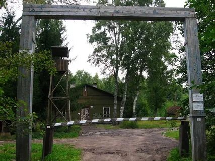 Форт серая лошадь ленинградская область
