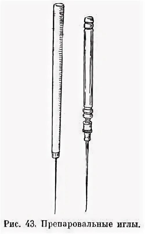 Иглы биология. Препаровальные иглы лабораторные. Препаровальная игла лабораторная. Иглы в биологии. Препаровальная игла рисунок.