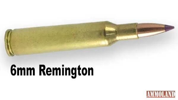 243 калибр в мм. 6mm Remington. Ремингтон 243. 243 Ackley. Zero compromise ZCO 40 *56 Ремингтон 243.