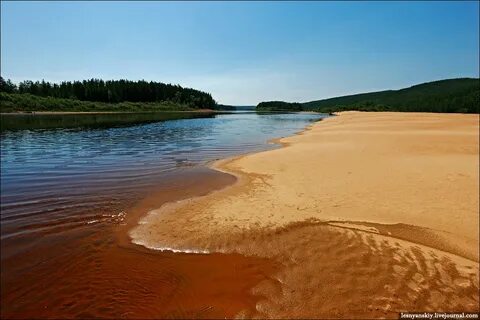 Река золотых песков
