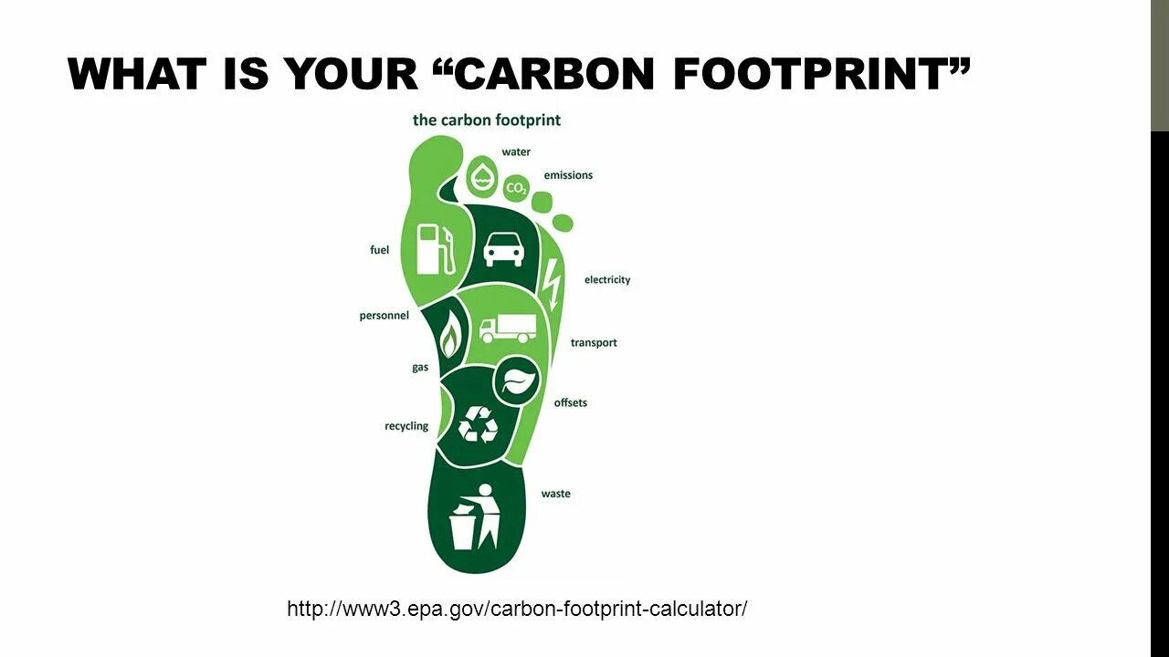Your carbon footprint. Углеродный след. what is a carbon footprint. carbon footprint топик. снижение углеродного следа.