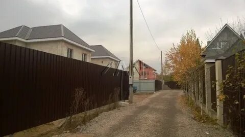Мытищи деревня грибки