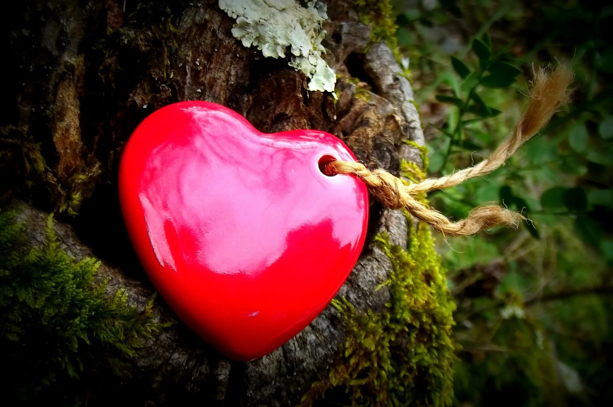 Сердце на весь экран. Необычное сердце. Фото сердечко. Сердце в природе. Сердечки в природе.