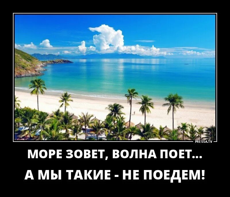 Куда я хотел поехать летом. Море юмор. Поехали на море. Море юмор картинки. Анекдоты про море.