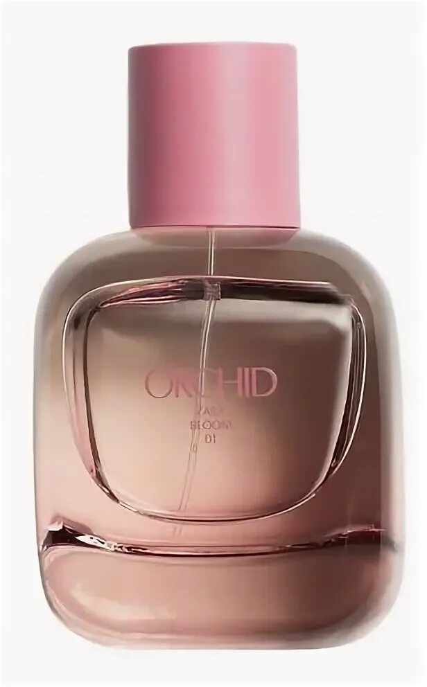 Парфюмерная вода новая заря orchidee. Orchid zara bloom 01. Lady orchid пион. Zara orchid духи intense. Zara orchid.