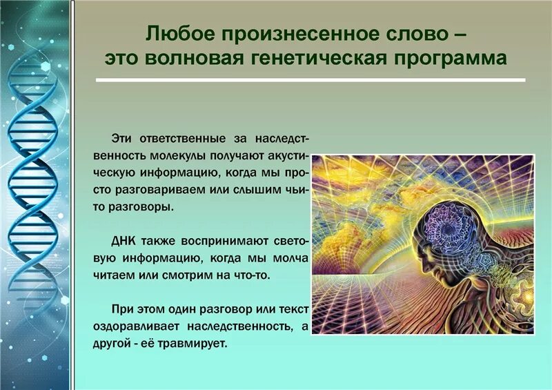 Что такое генетическая информация и какое