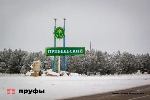 Прибельский