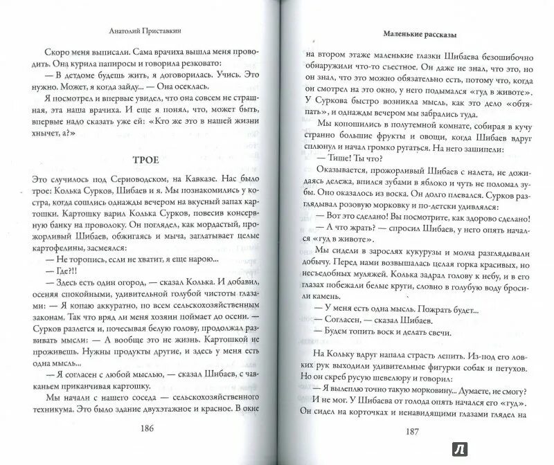 Портрет отца Приставкин. Приставкин рассказы для детей. Приставкин читать рассказы. Портрет отца Приставкин читать. Был один а стало трое текст