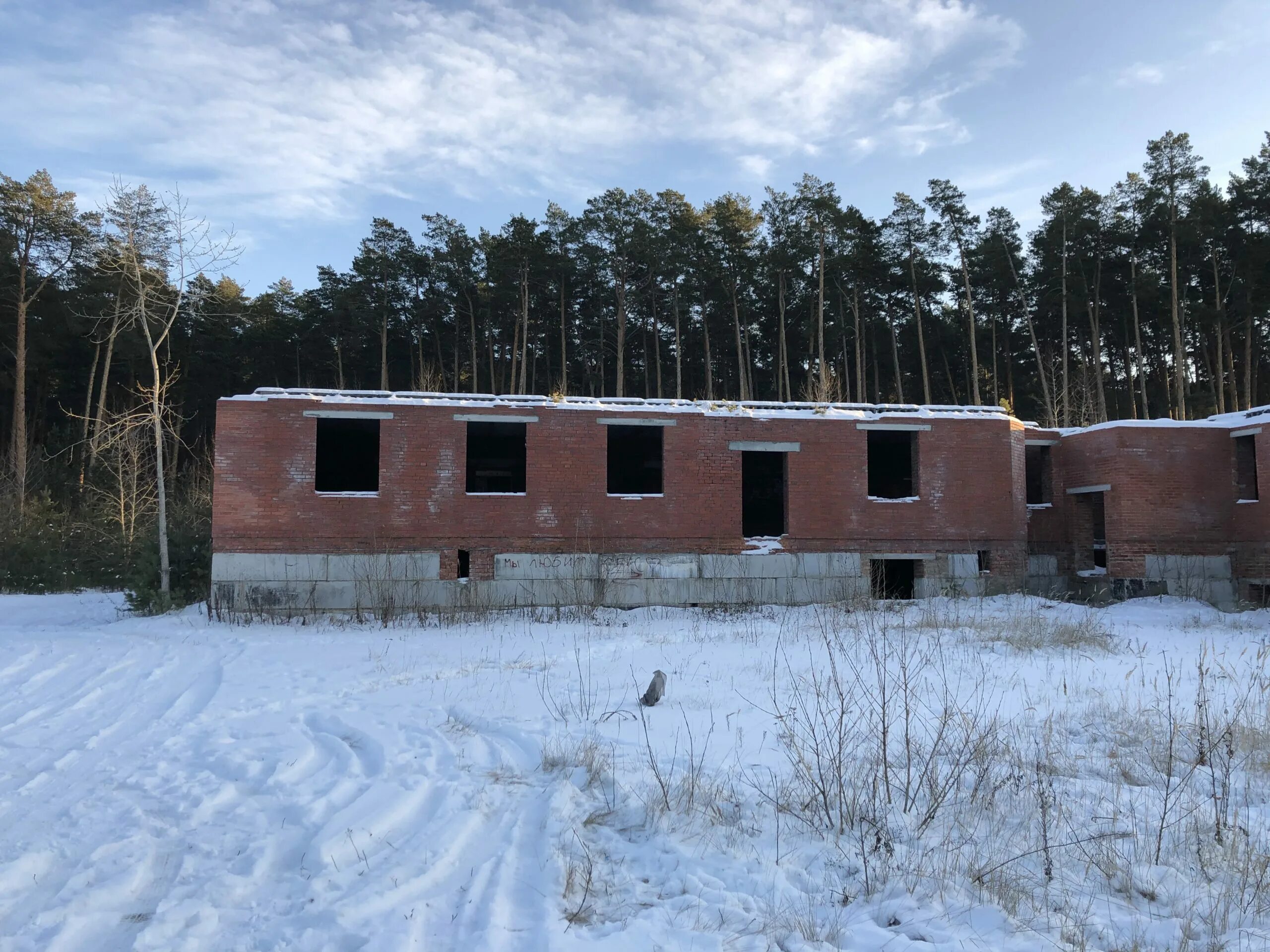 Незавершенное строительство аренда. Объект незавершенного строительства. Незавершённое здание. Недоделанные здания. Здание незавершенки.