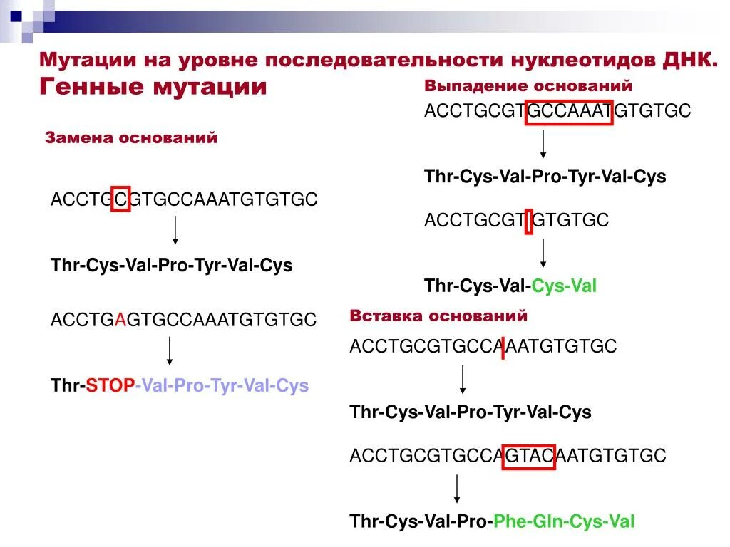 Мутации на уровне последовательности нуклеотидов ДНК. Изменения нуклеотидных последовательностей ДНК. Генные мутации.. Последовательность нуклеотидов ДНК. Мутация выпадение нуклеотида. Замена нуклеотида в гене признак