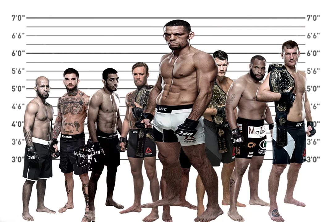 Бойцы ММА средний вес. Бойцы UFC по знакам зодиака. Средний вес ММА. Лучшие бойцы в мире.