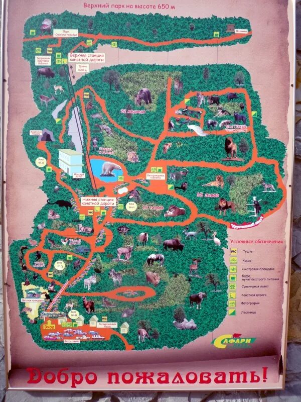 Сафари парк геленджик план парка. Сафари парк краснодар карта парка. Сафари парк карта животных. Схема сафари. Сафари парк геленджик план парка.