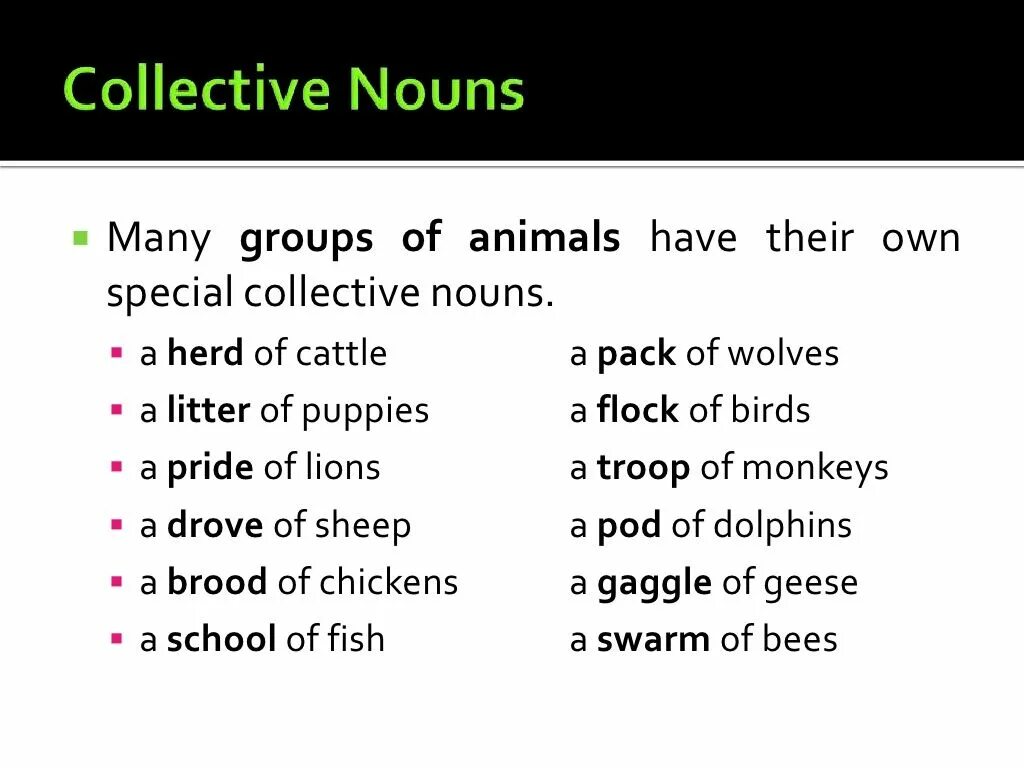 Group Nouns в английском языке. Collective Nouns в английском. Collective Nouns for animals.