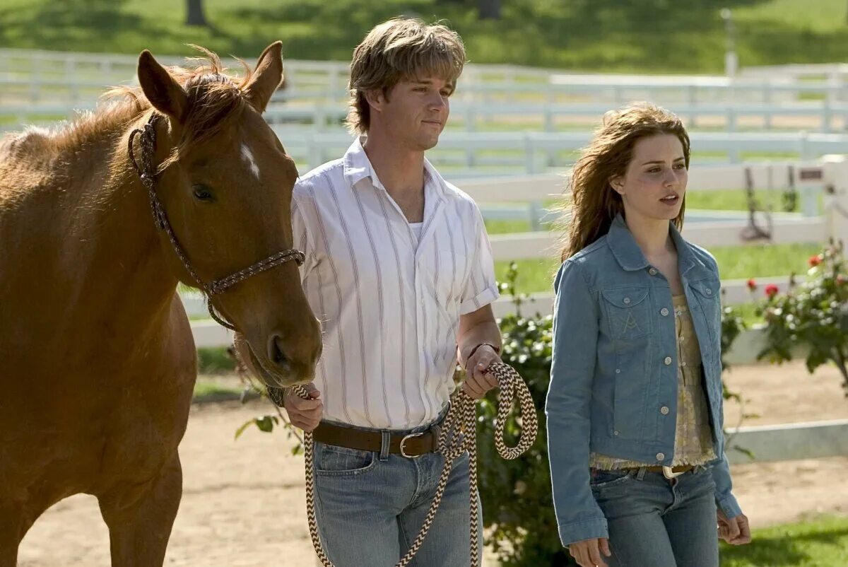 флика 2 фильм про лошадь. флика 4. фильм флика 4. флика 1 кадры из фильма. флика 3.