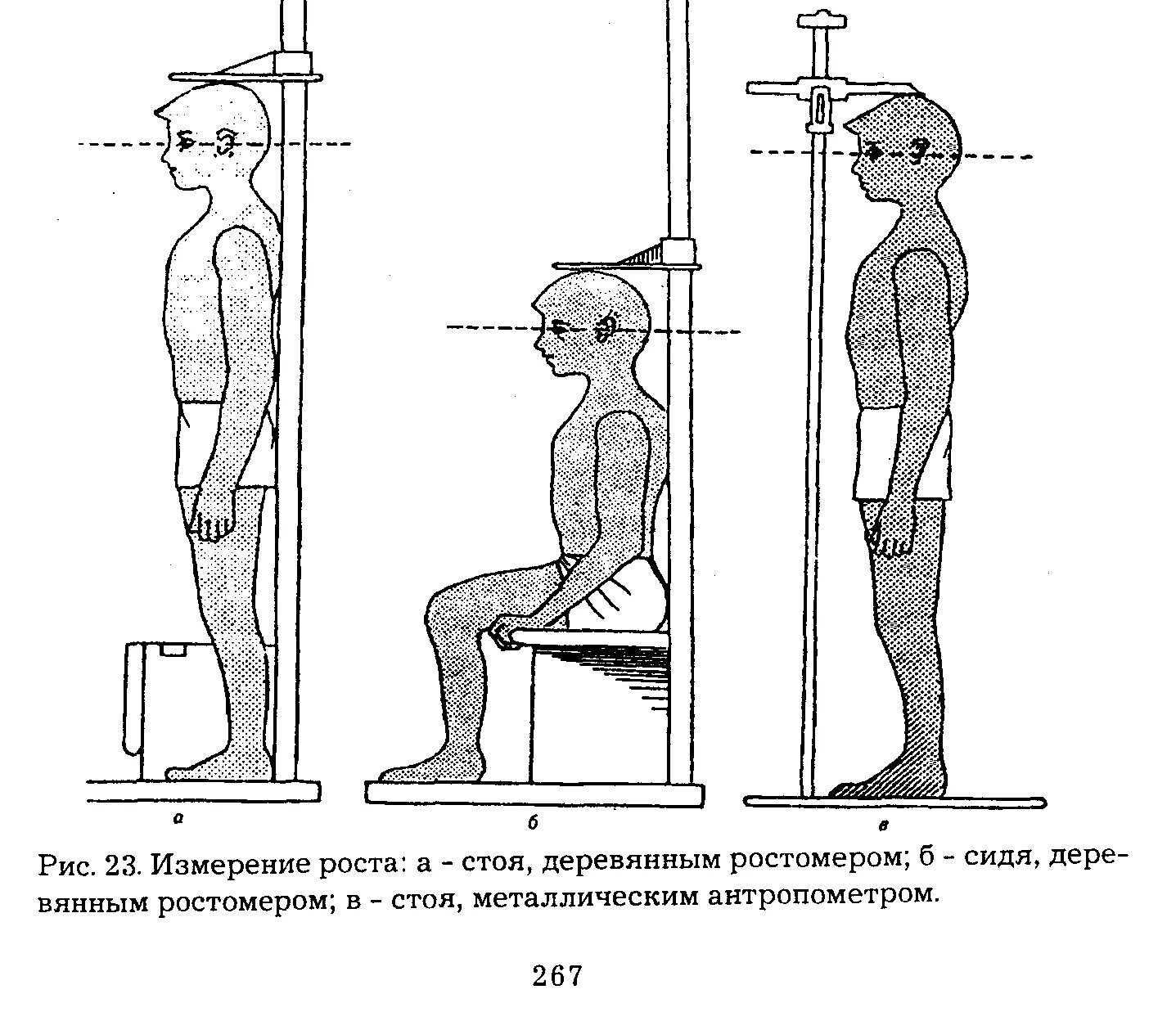 Антропометрия ребенка 1 года. Антропометрия соматометрия. измерение длины тела стоя (дети старше года). антропометрия измерения длины тела стоя. измерение длины тела ребенка алгоритм.