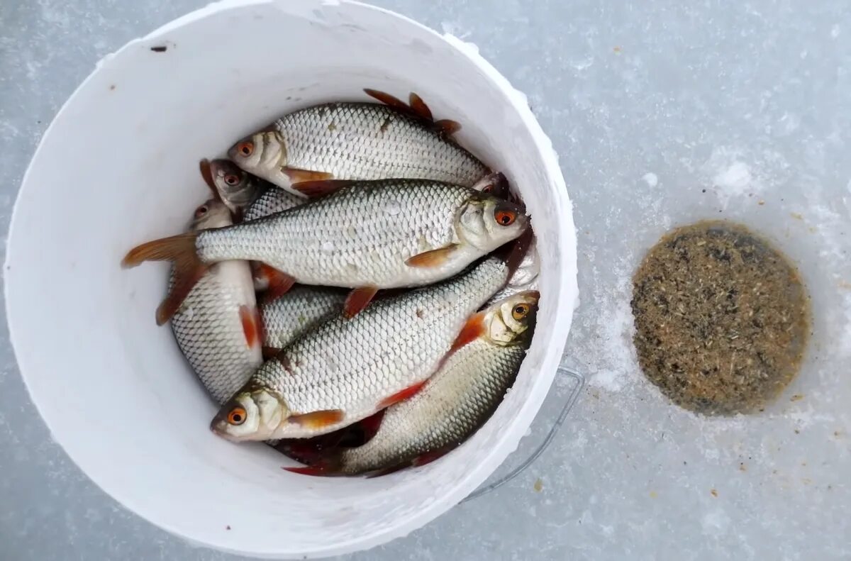 Ловля сорожки. Зимняя прикормка для плотвы. Мормышки для зимней рыбалки. Плотвиные мормышки зимние. Зимняя рыбалка на плотву.