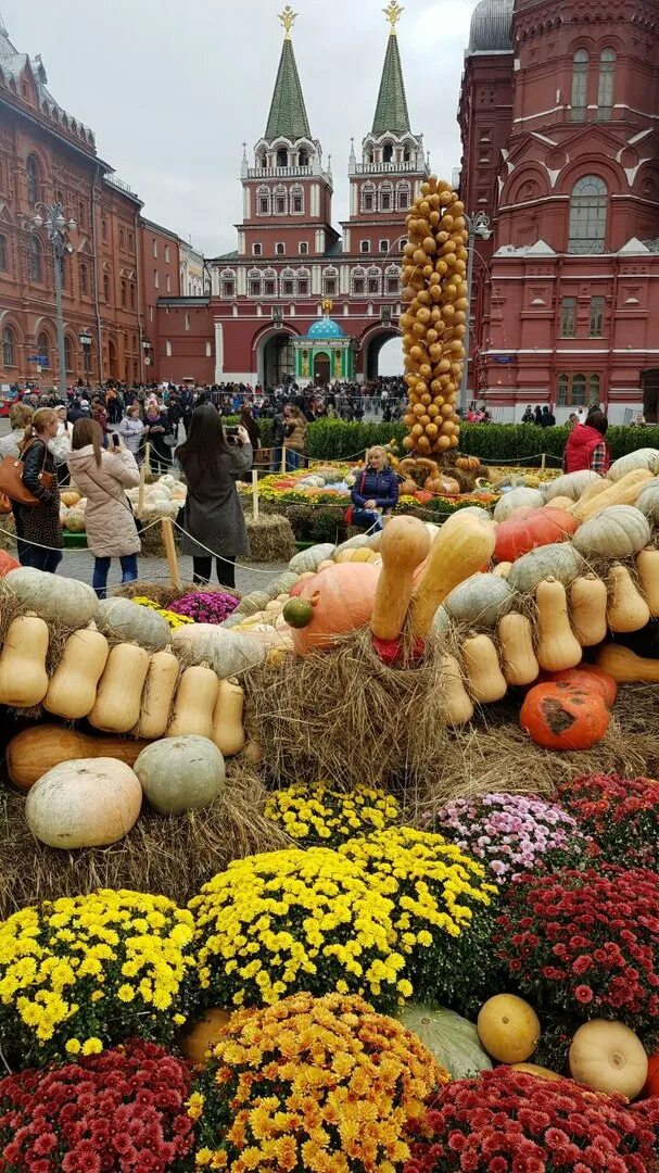 Гастрономический фестиваль на вднх. Осенний фестиваль. Где проходит фестиваль золотая осень в москве. Где проходит фестиваль золотая осень в москве. Гастрономия вднх.