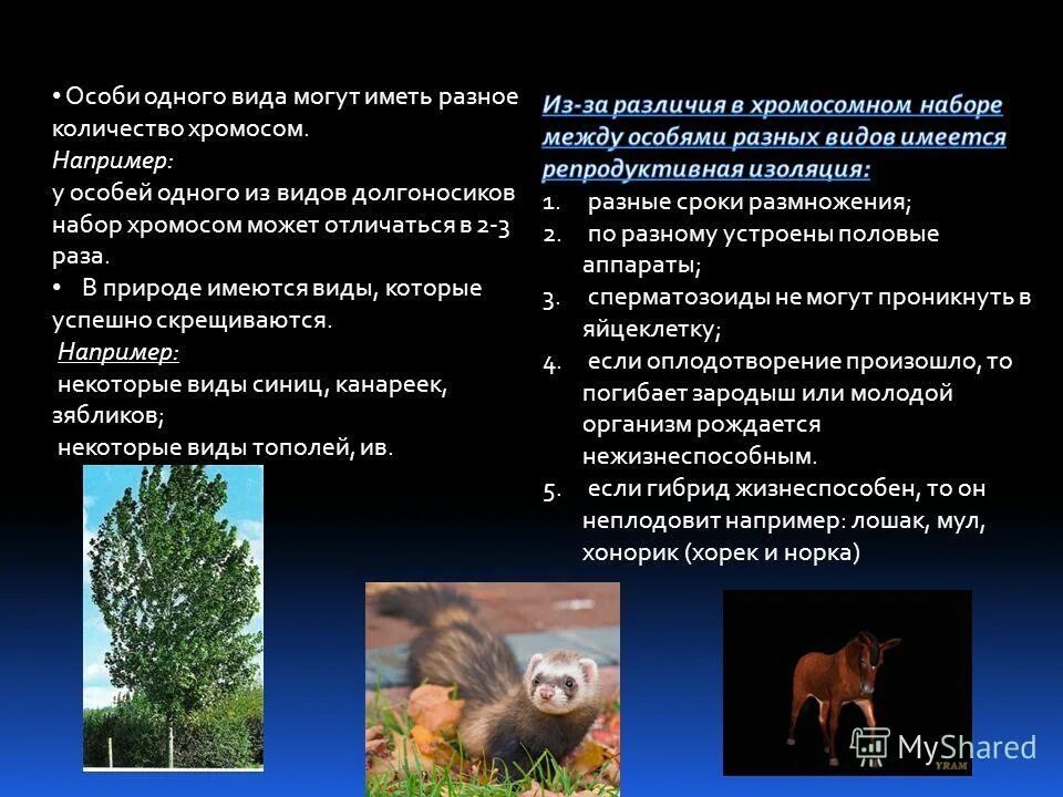 внимание познавательный процесс. найди. внимание психический процесс. взгляды западников и славянофилов таблица. файловые архивы.
